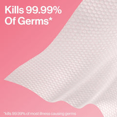 The Honest Company Grapefruit Grove Sanitizing Wipes, Kills 99.99% of Germs, Safe for All Hands, Antibacterial, Dermatologist Tested, 15 Count