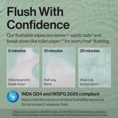 The Honest Company Flushable Wipes for Sensitive Skin, Hypoallergenic, Fragrance-Free, Gilded Wings Design, 126 Count